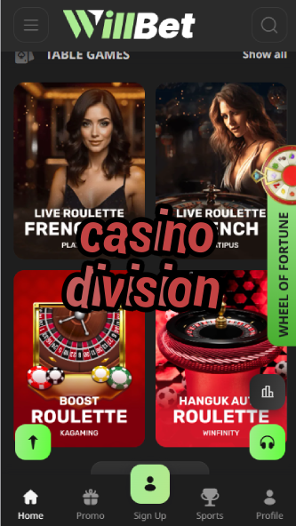 Casino Division - Casino Management Structure-casinoorder.vip