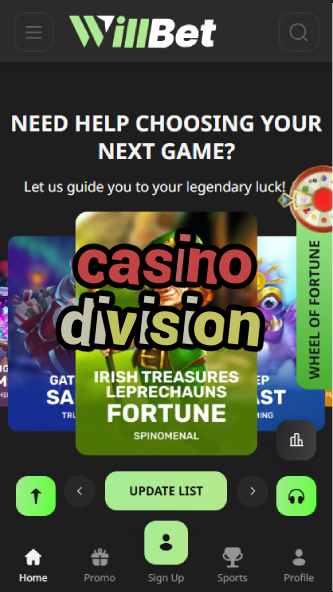 Casino Division - Casino Management Structure-casinoorder.vip