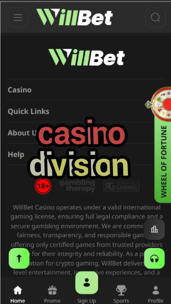 Casino Division - Casino Management Structure-casinoorder.vip