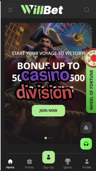 Casino Division - Casino Management Structure-casinoorder.vip